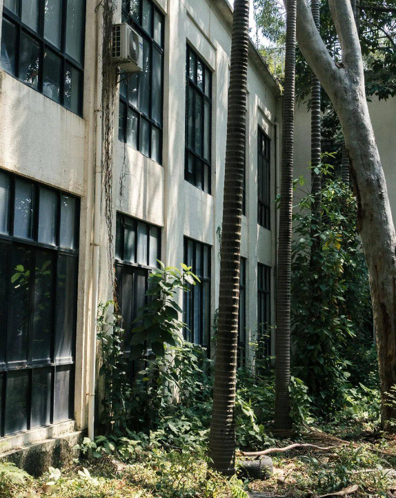 80年代珠影厂 为何被称“美人窝”？20位女星今昔对比 变化都太大了