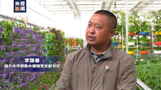 坐着高铁看中国丨行走“天路”最美青藏线！小小枸杞撑起戈壁绿洲