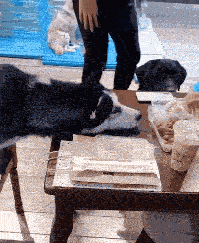 柳岩辽宁春晚小品《大腕来袭》中的护士装，演绎别样美丽