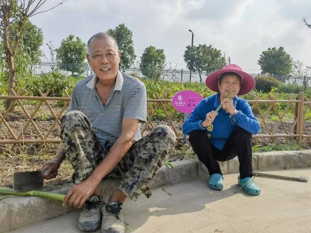 红柘、金稻、粉蔬，奉贤这个村的“庭院经济”有看头！