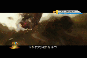 金刚和景甜抖森在玩啥？最全的金刚“前世今生”都在这里！