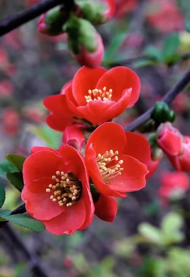 你会收到这个月以来最好的消息