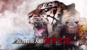 别再伤害我(“别再伤害我”听，它们的惊心告白……)