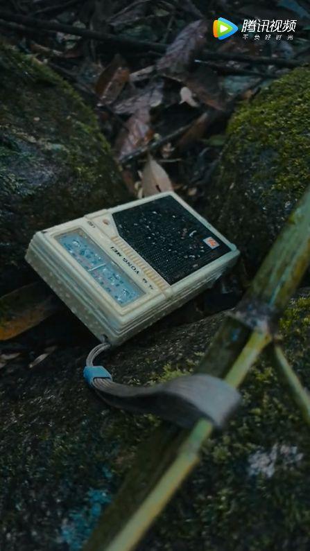 兼具商业价值与社会属性，揭秘微电影进阶“撒手锏”