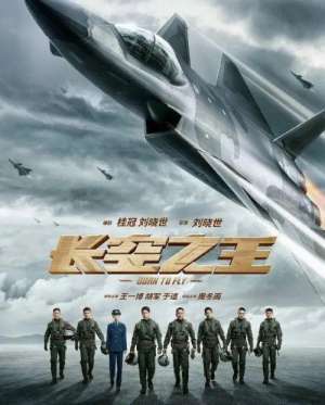 长空之王观后感(向英雄致敬，观影《长空之王》我有感……)