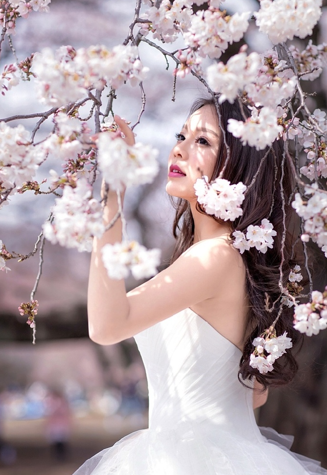 莫绮雯：银幕女神的低调转身，她的选择为何让人费解？