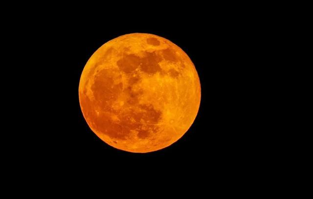 好圆!好大!好美