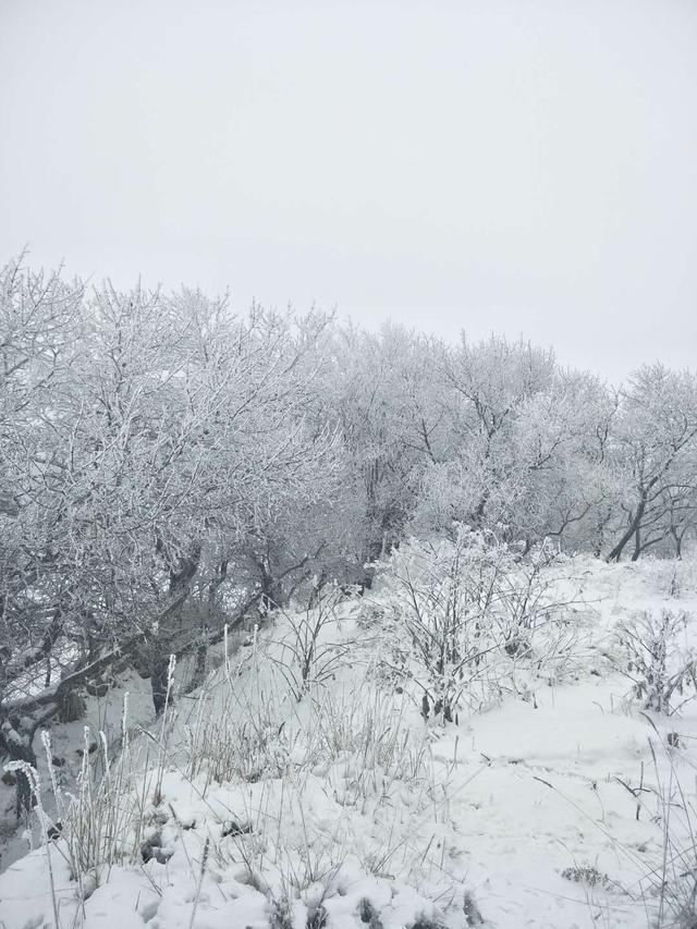 「风雪中的气象工作者」当气象设备冻成冰雕……