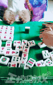 正惊GIF：健身房惊现长腿旗袍美女，力量比汉子还猛，惊呆围观路人