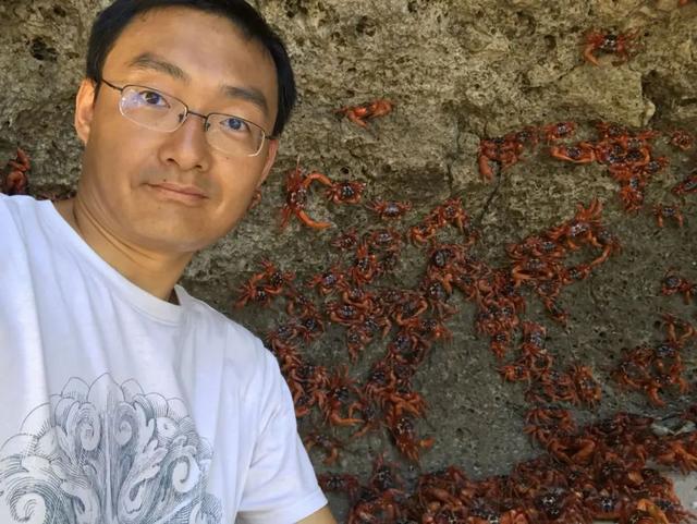 荒野间谍第二季-大迁徙队伍里的间谍红蟹