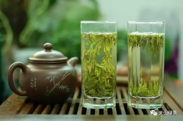 茶界泰斗张天福老先生与天山绿茶的不解之缘……