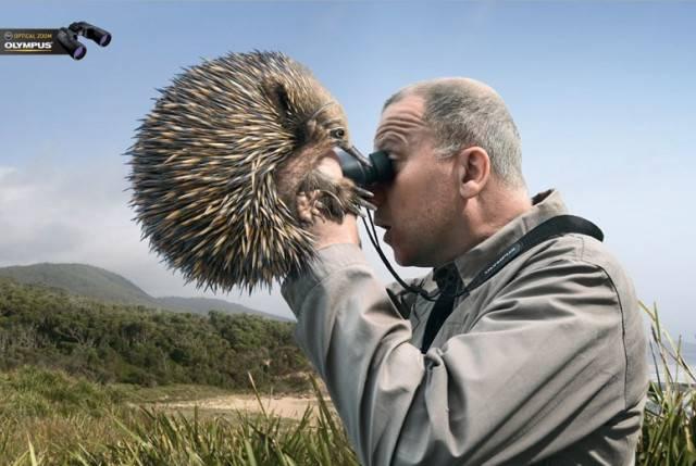 4个最常见且实用的文案手法，可用