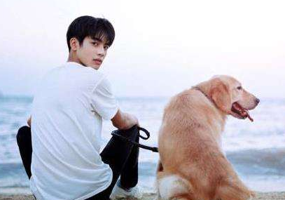 宋威龙出演的8部剧，《下一站是幸福》上榜，看过一半算是真爱粉