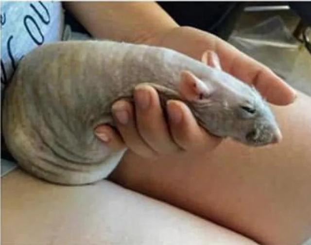 用了十几款约炮软件后，我发现女人更想恋爱，男人却只想做爱