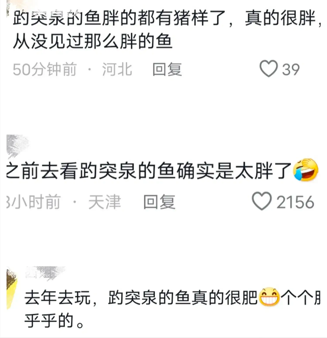 太搞笑了！国庆第一倒霉鬼，济南锦鲤吃撑而死，保安用证据劝游客