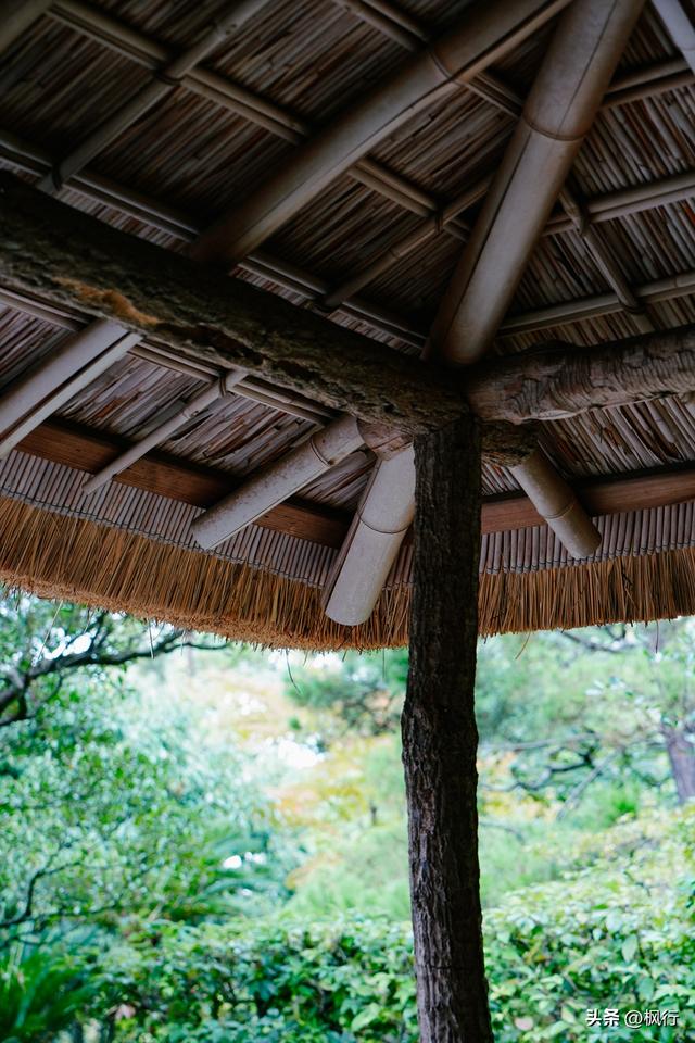 京都这座皇室的离宫，美且朴素的哲学，对得起超难的预约流程