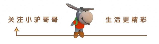 假如人类社会没有了电？人性泯灭？科幻电影解说