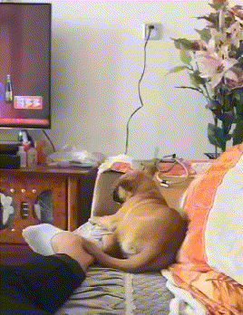 柳岩辽宁春晚小品《大腕来袭》中的护士装，演绎别样美丽