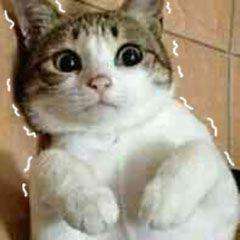 为爱献身(和女友吵架后，顺德小伙“为爱献身”，冲上阳台……)