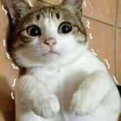 和女友吵架后，顺德小伙“为爱献身”，冲上阳台……