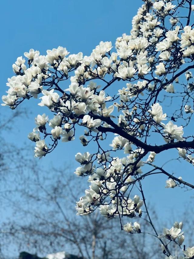 晚潮｜素贞和淑真