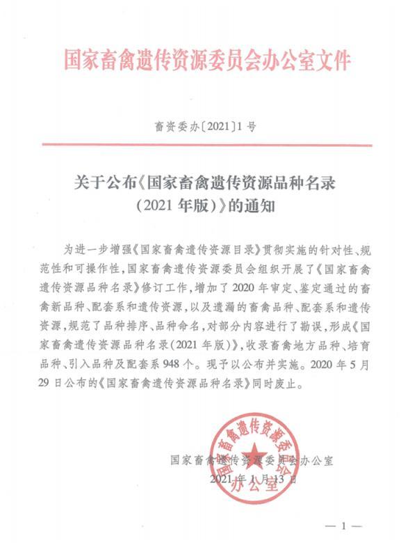 “世界上最小的鸡”走红网络，很多人在养，专家却这样说