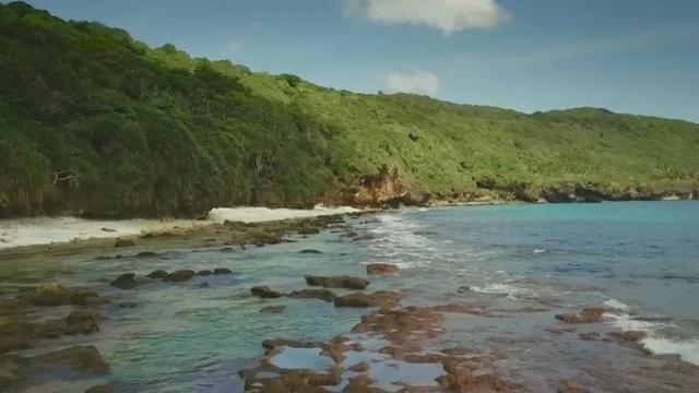 荒野间谍第二季-大迁徙队伍里的间谍红蟹