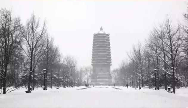 历史｜天王盖地虎，那宝塔镇的是什么妖？