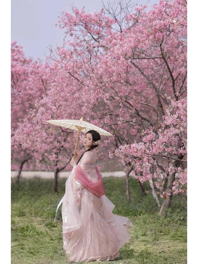 ​此联太难对，上联：​樱花开落三生梦 高手请对下联