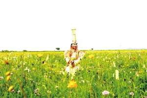 我在锡林郭勒等你(我在锡林郭勒等着你)