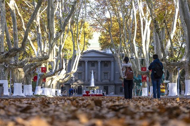 初冬限定！东南大学这堂“伞下非遗课”刷屏……