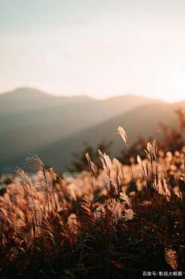 抖音好听的歌(抖音最火的40首歌，一听就上瘾)