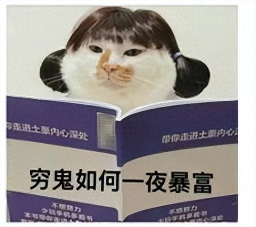 打一天比赛给5000块,被称“通天代”的顶级游戏高手有多吃香?