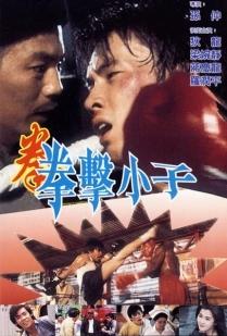 1982年香港邵氏影业出品上映的33部电影