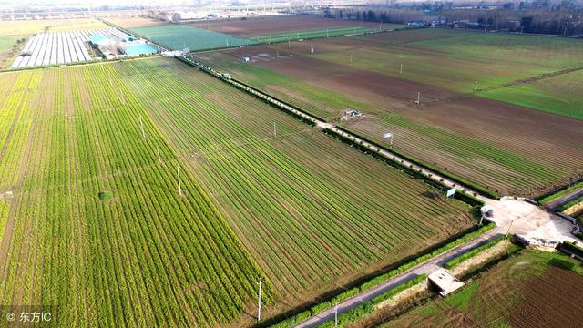 优秀作文｜阡陌