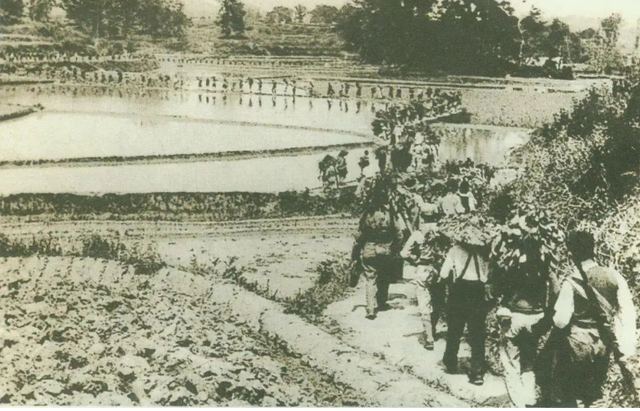 1938年陈毅离开茅山，乾元观老道长密信召回弟子：本观有灭顶之灾