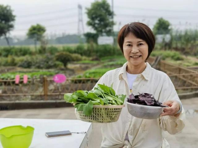 红柘、金稻、粉蔬，奉贤这个村的“庭院经济”有看头！