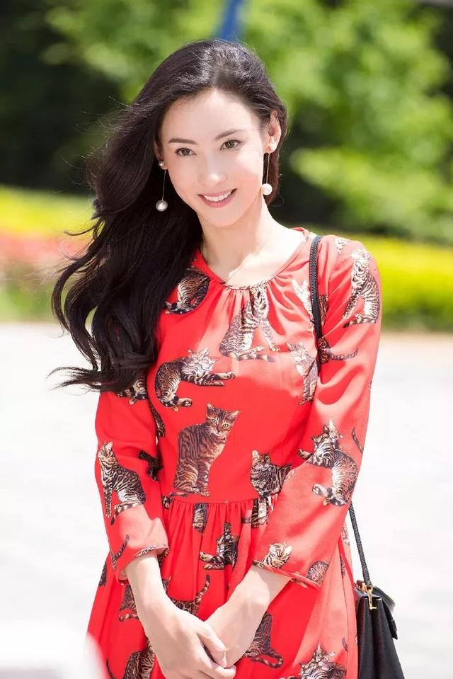 明星壁纸 张柏芝壁纸图片照片合集