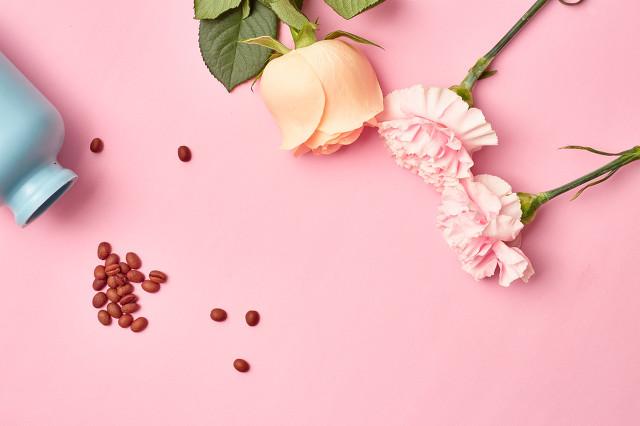 令人窒息的爱(下)