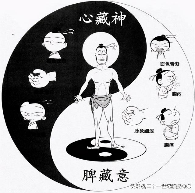 性命之谜（廿四）脾脏：五脏中的小透明，却有大名鼎鼎的神灵代表