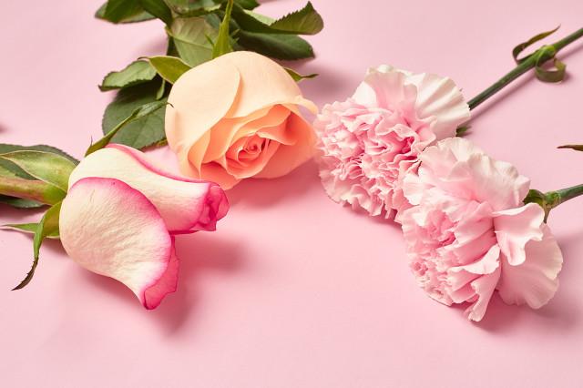 令人窒息的爱(下)