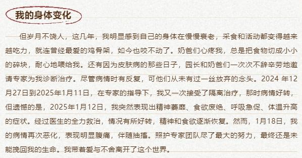 17岁网红云豹“干干”离世，为中国大陆唯一圈养云豹