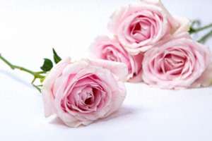 令人窒息的爱(令人窒息的爱（下）)