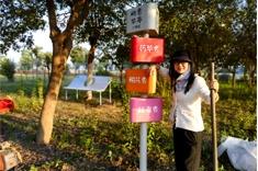 红柘、金稻、粉蔬，奉贤这个村的“庭院经济”有看头！