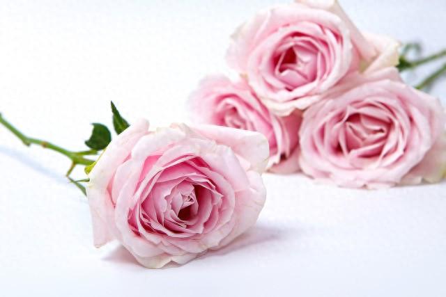 令人窒息的爱(下)