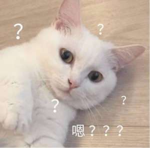 孙小雅(“反杀”电信诈骗头目？你大妈还是你大妈)