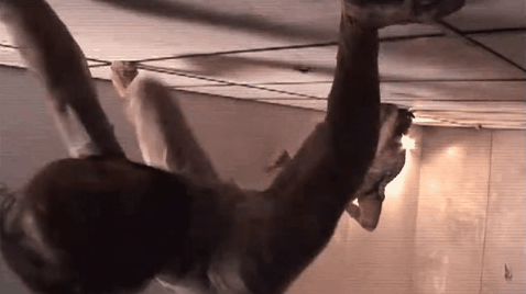 致怪物迷——史上最大怪物狂欢趴，你知道它们都出自哪里吗？