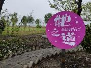 红柘、金稻、粉蔬，奉贤这个村的“庭院经济”有看头！