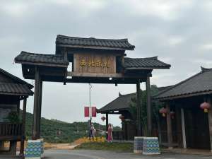 黄彩云(芒果飘香处 壮乡焕新颜——探访百色右江区西北乐村的振兴密码)