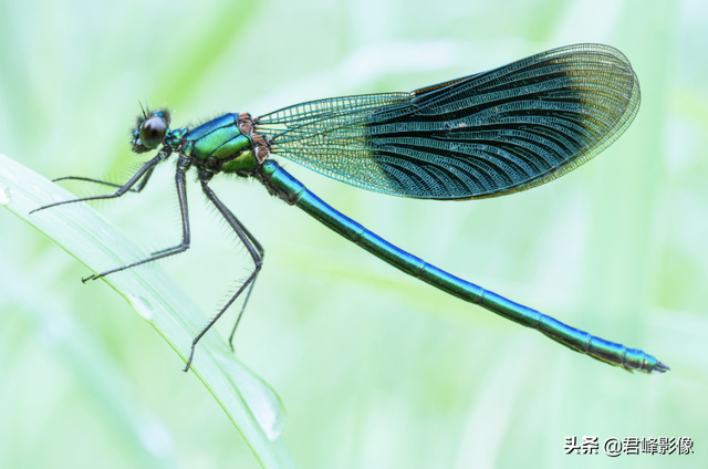 周杰伦新歌MV，除了音乐，让摄影师们沉醉的还有绚烂色彩